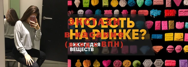 гашик Заводоуковск
