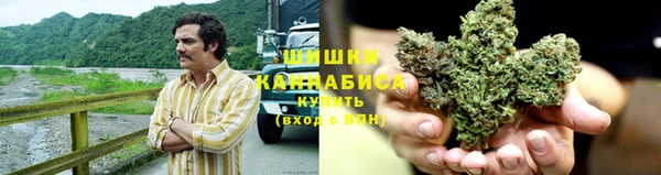 гашик Заводоуковск