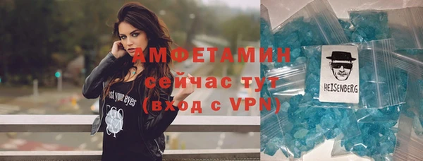 хмурый Ельня