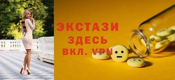 хмурый Ельня