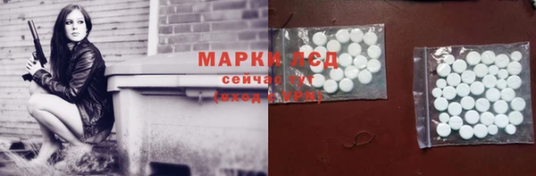 хмурый Ельня