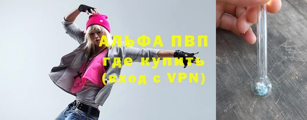 хмурый Ельня