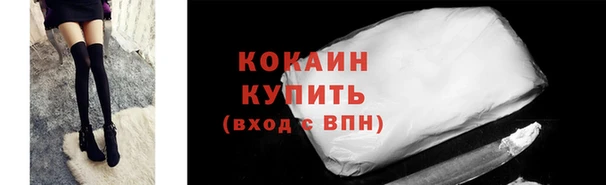 СК Елизово
