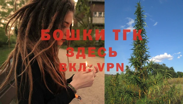 СК Елизово