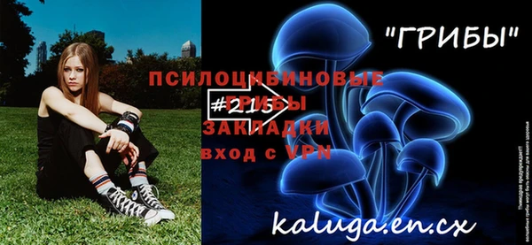 хмурый Ельня