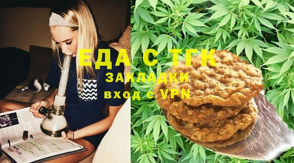 хмурый Ельня