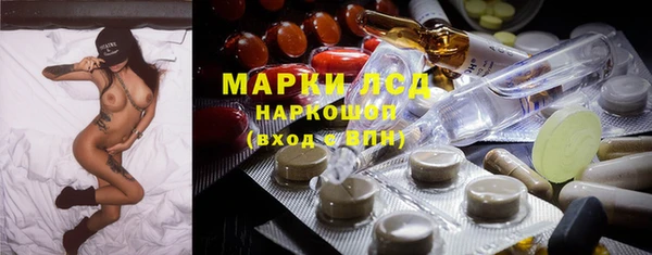 СК Елизово