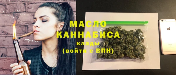 хмурый Ельня