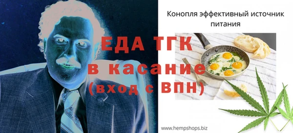 хмурый Ельня