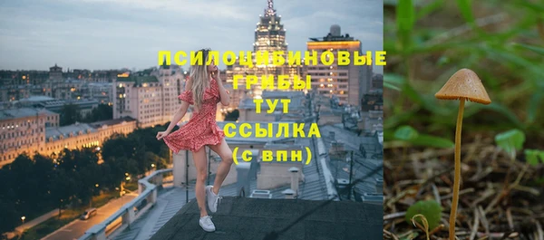 хмурый Ельня