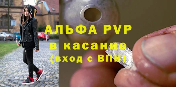 хмурый Ельня