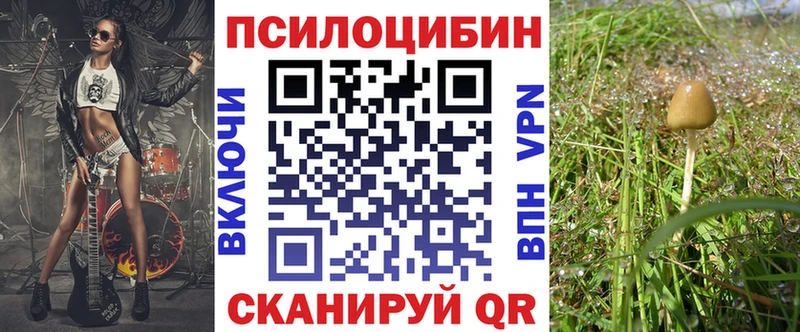 Галлюциногенные грибы Psilocybe  Купить  Вяземский 