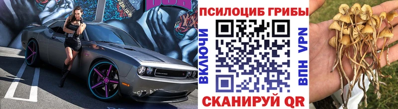 Галлюциногенные грибы GOLDEN TEACHER Вяземский